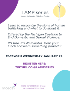 mcedsv LAMP series - free webinar. January 2025. Join us!